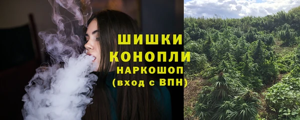 apvp Анжеро-Судженск