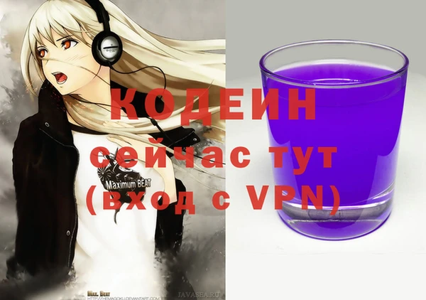 apvp Анжеро-Судженск