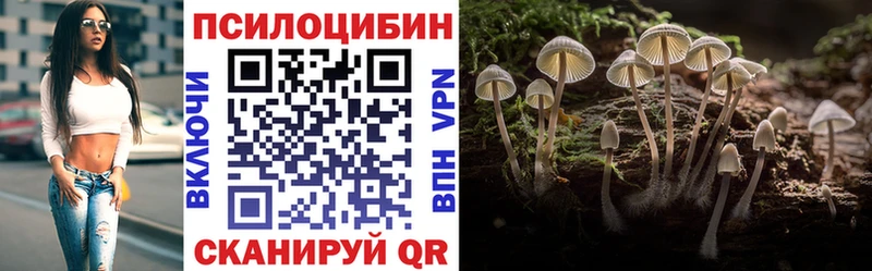 MEGA зеркало  Карабаш  Псилоцибиновые грибы прущие грибы  закладки 
